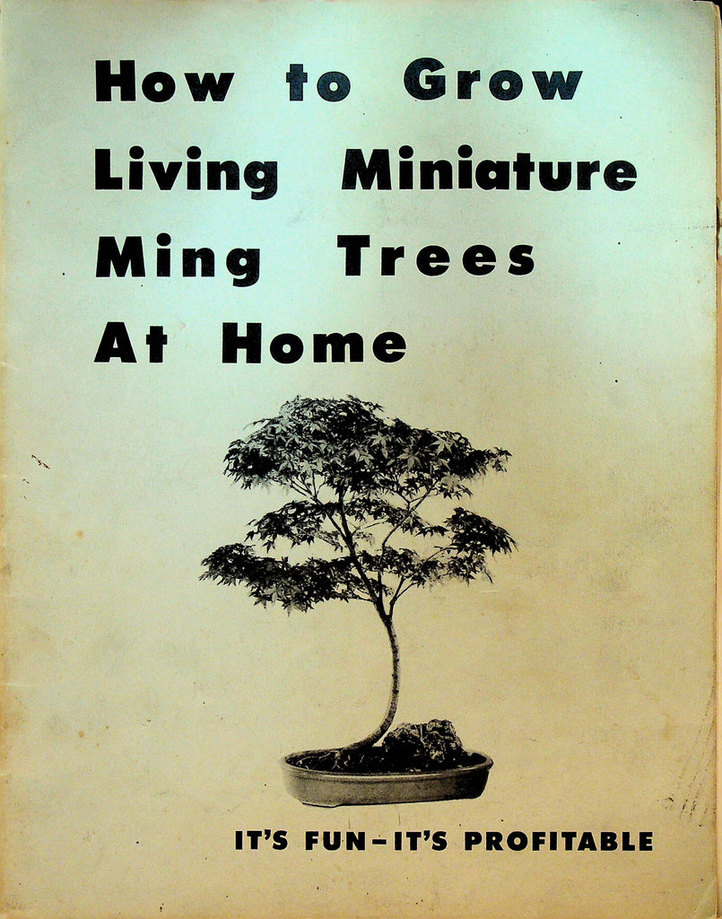 How to Grow Living Miniature Ming Trees at Home