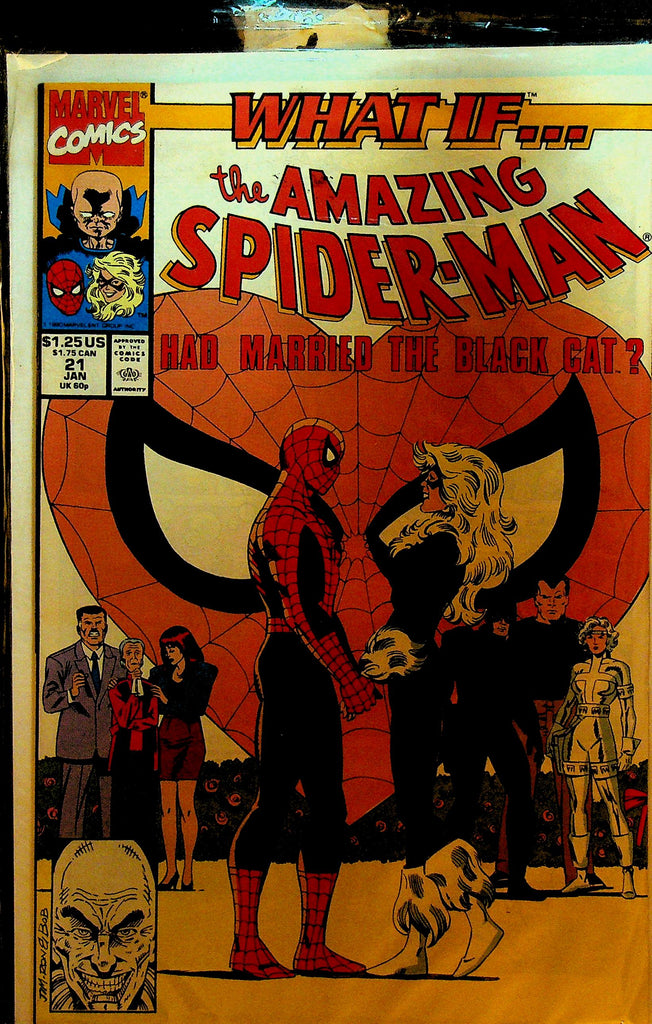 What If 21 The Amazing Spider-Man Had Married the Black Cat