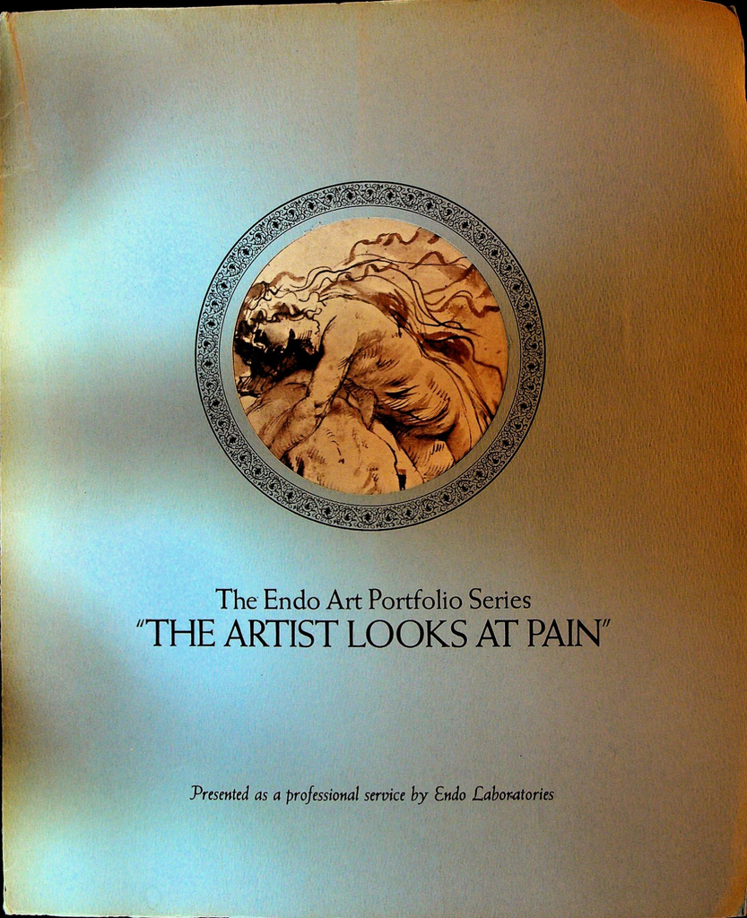 Endo Art Portfolio Series The Artist Looks at Pain Raphael Rubens Michelangelo0