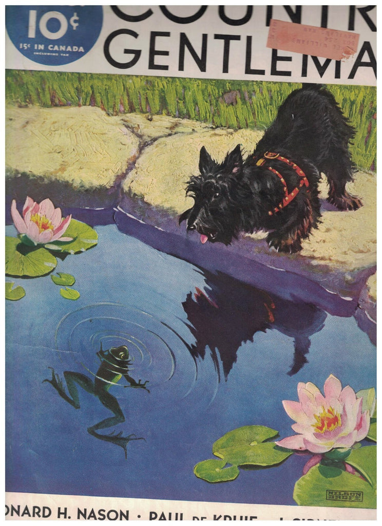 Country Gentleman August 1935 Papua Cannibals Stephen Vincent Benet Scottie Dog0
