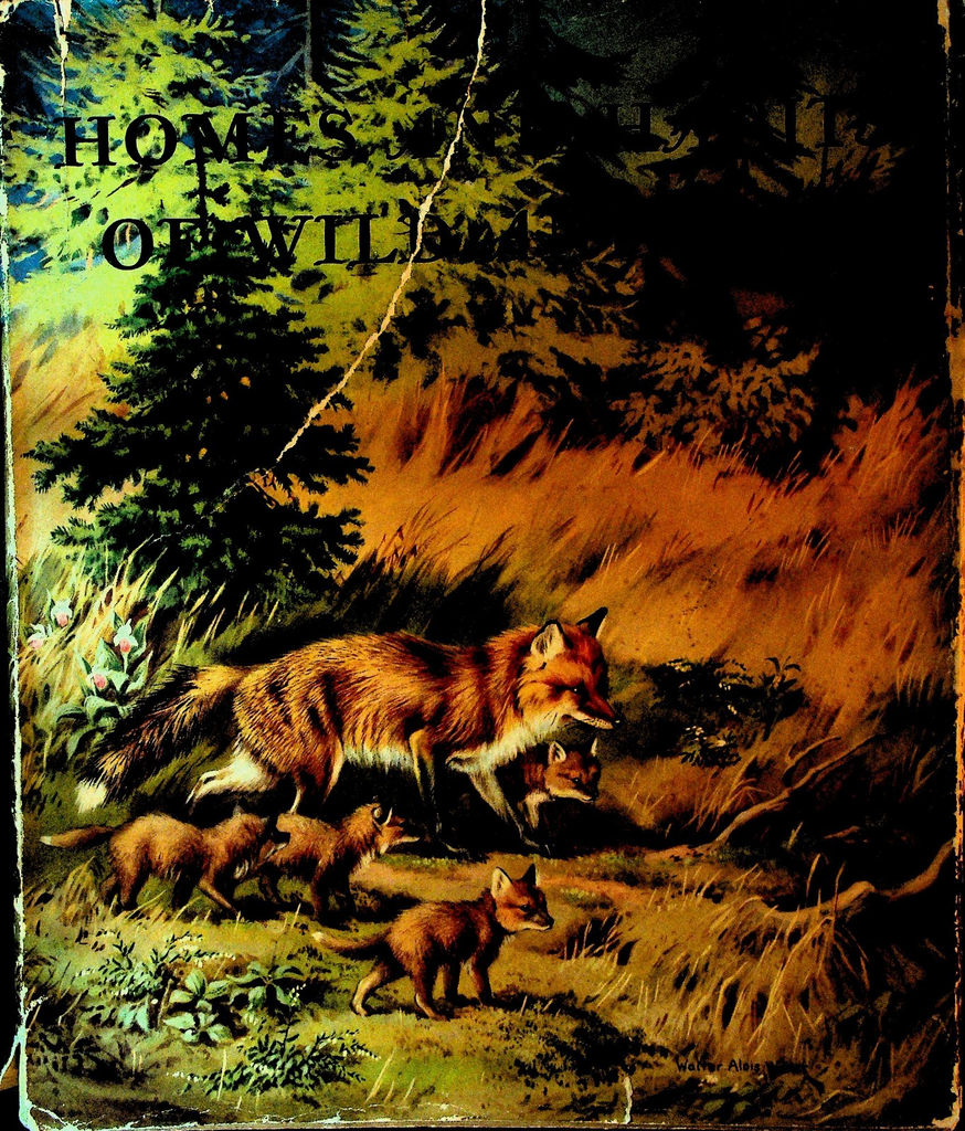 Homes and Habits of Wild Animals HC DJ Karl Patterson Schmidt 1934 Walter Weber0