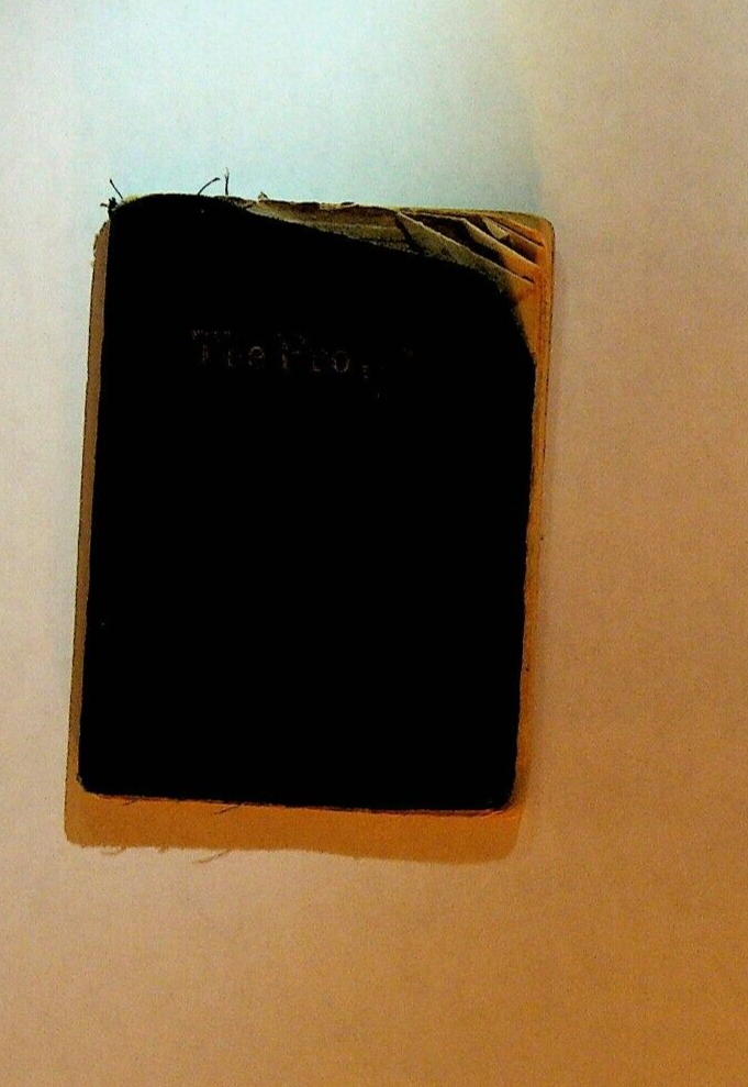 The Proverbs American Bible Society 1885 SC Book