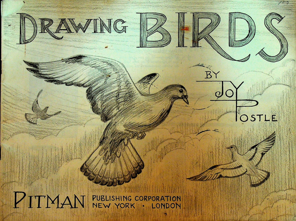 Drawing Birds by Joy Postle 1963 SC Book Pitman Publishing0