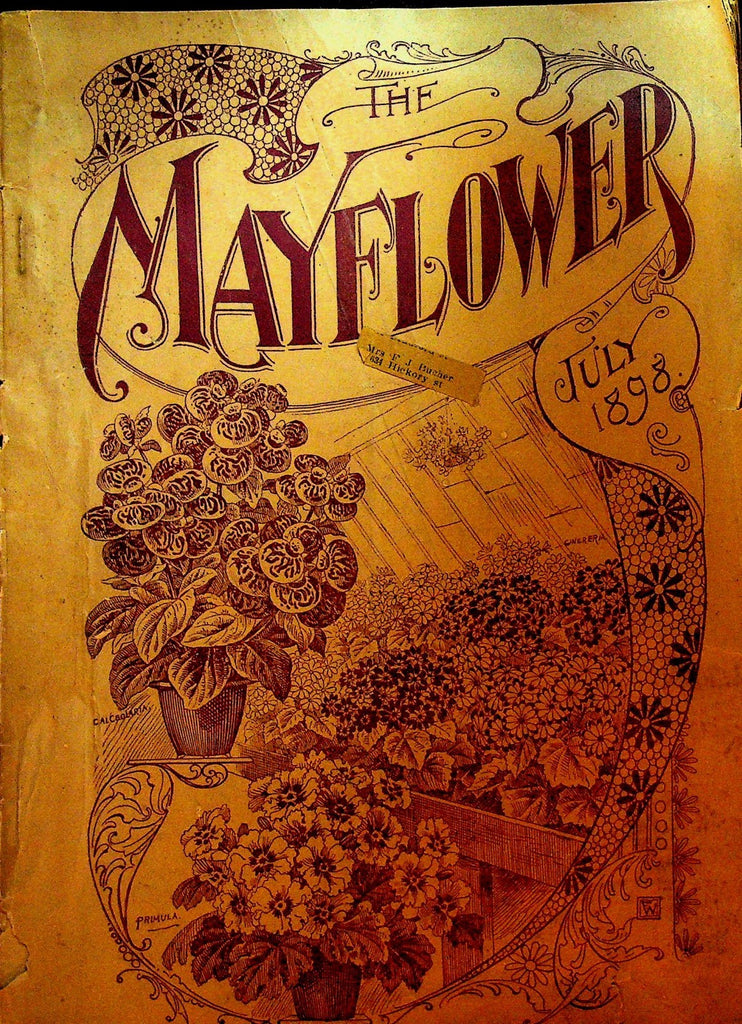 Mayflower Magazine July 1898 Flowers Gardening0