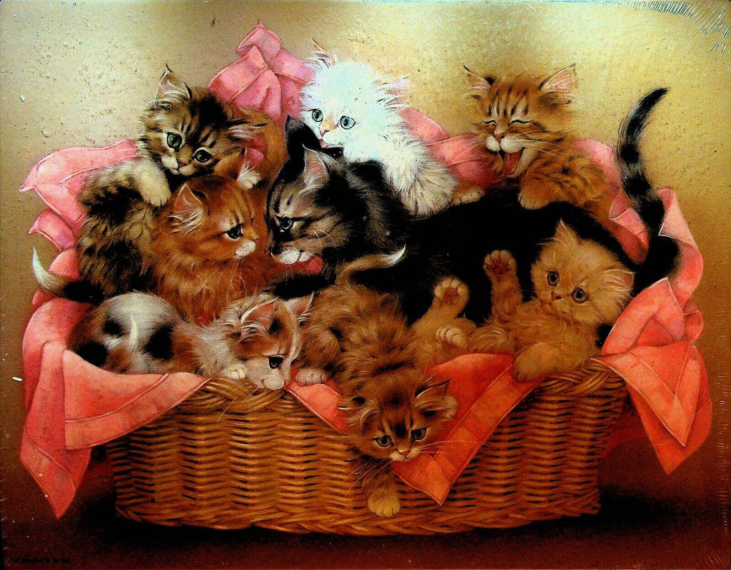Kitten Caboodle Jigsaw Puzzle Sealed Springbok 500 Pieces
