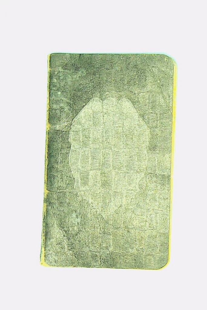 45856502