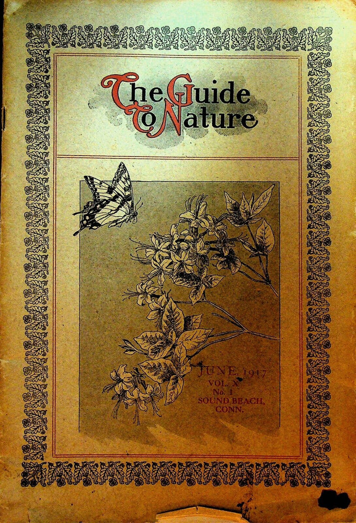 The Guide to Nature Magazine June 1917 Ornithology Reptile Study Society