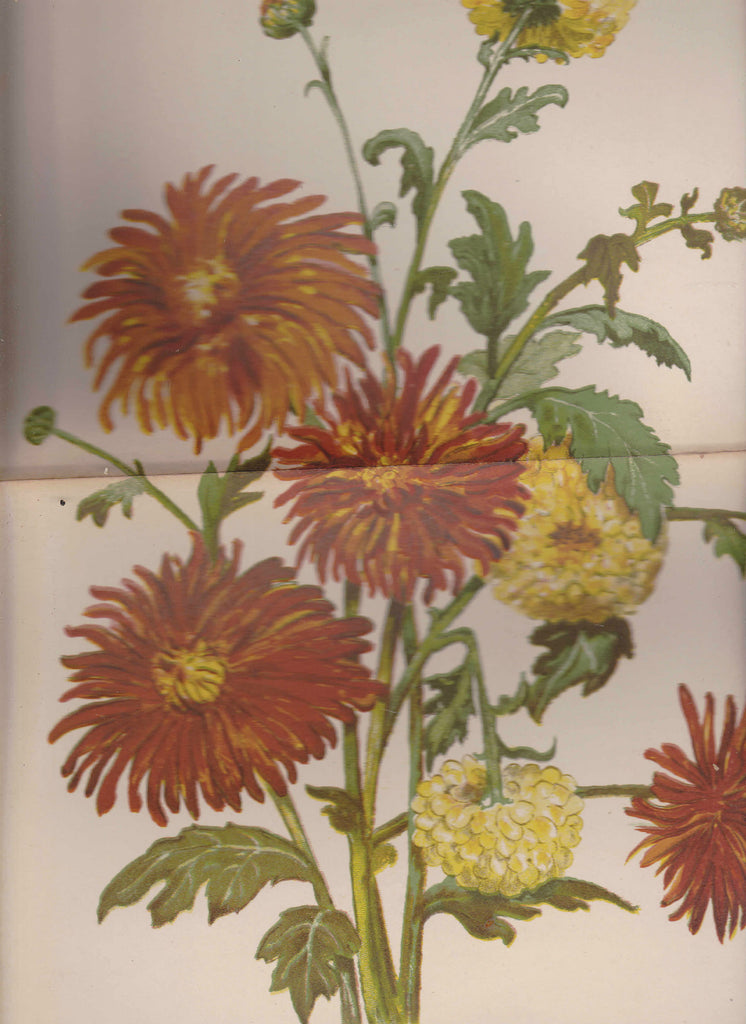Bright Flowers  Print Young Ladies Journal Supplement October 1891 Nice Colors0