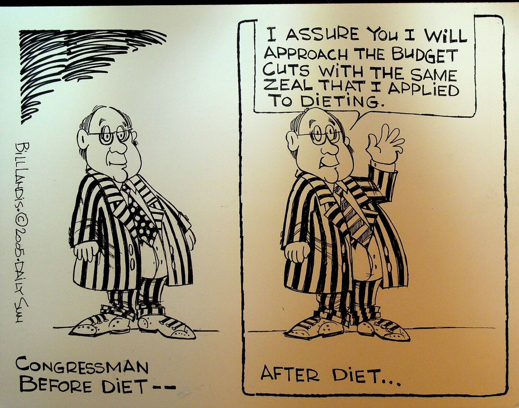 Bill Landis Original Cartoon Art The Villages Daily Sun 2005 Congressman