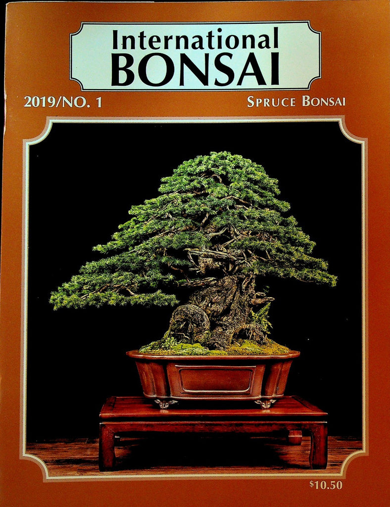 International Bonsai Magazine 2019 #1 Spruce Bonsai Zelkova Ezo Spruce Bonsai0