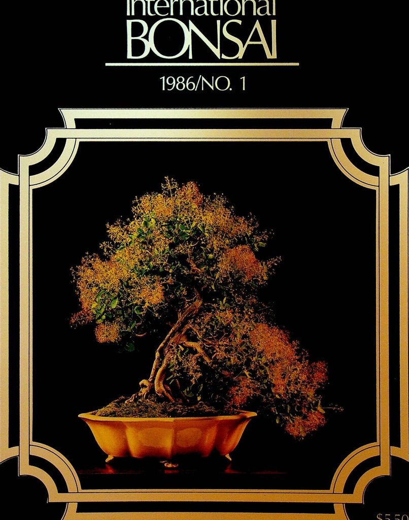 International Bonsai Magazine 1986 #1 Japanese Cornelian Cherry Bonsai