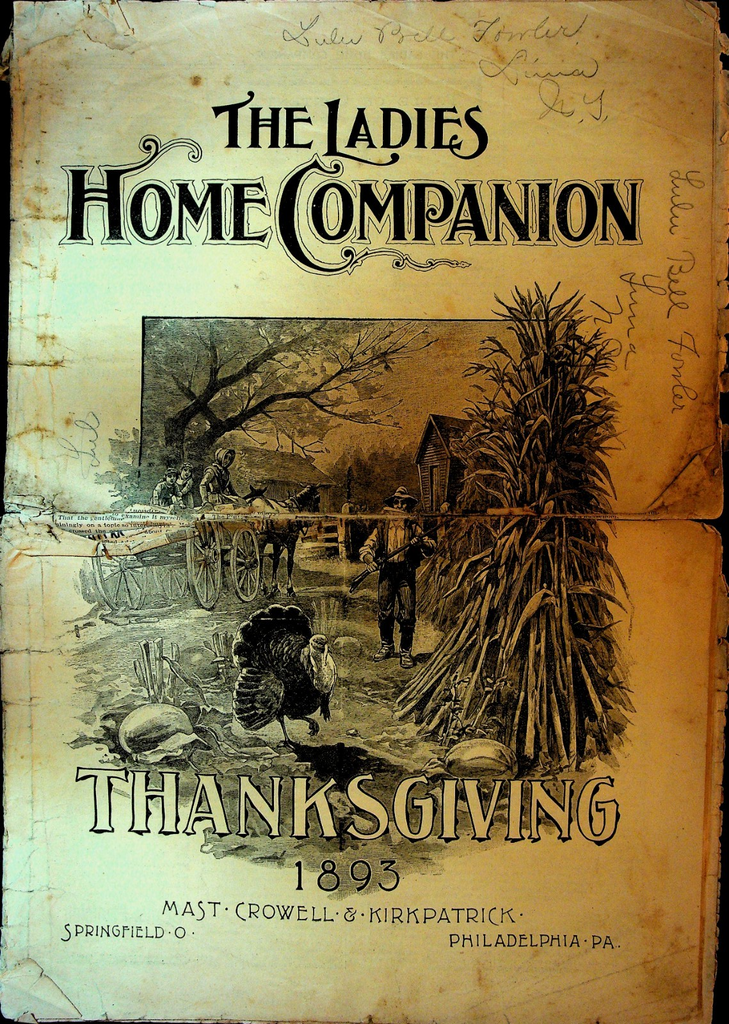 Ladies Home Companion Magazine Thanksgiving 1893 Fashion November 150
