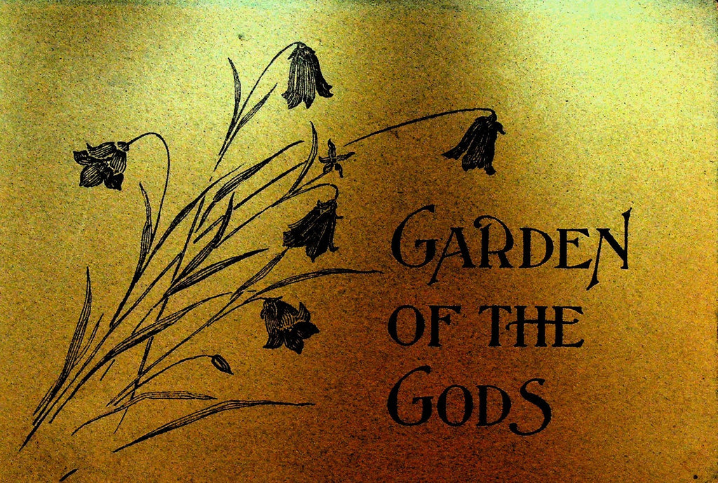 Views of Garden of the Gods Manitou Colorado 1905 Book Paul Goerke & Son0