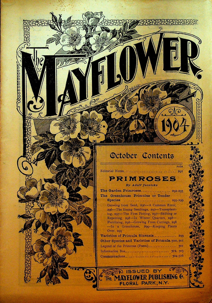 Mayflower Magazine October 1904 Flowers Gardening0