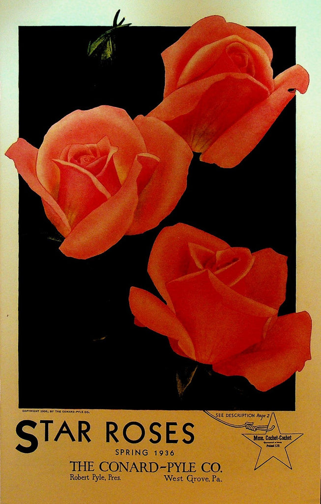 Star Roses Spring 1936 Catalog Conrad Pyle Co West Grove Pa w/ Mailer0