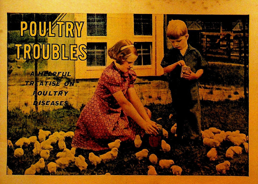Poultry Troubles Helpful Treatise on Poultry Diseases Booklet Walko 19360