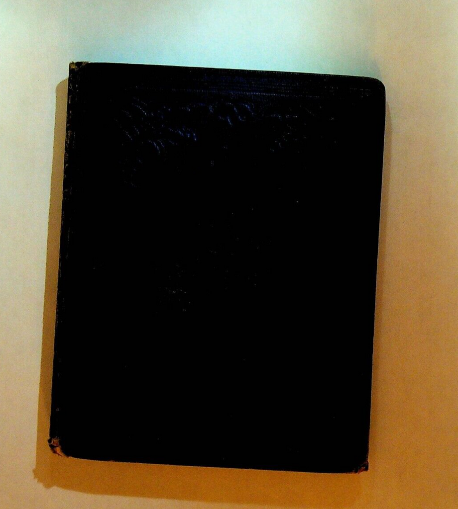 Little Robin's Learning to Fly by Mrs Madeline Leslie 1860 HC Book