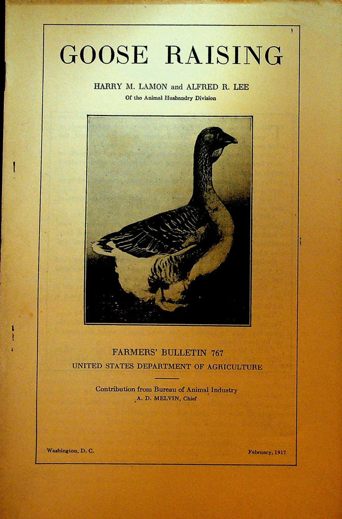 Goose Raising US Department of Agriculture Booklet 1917 Farmers Bulletin0