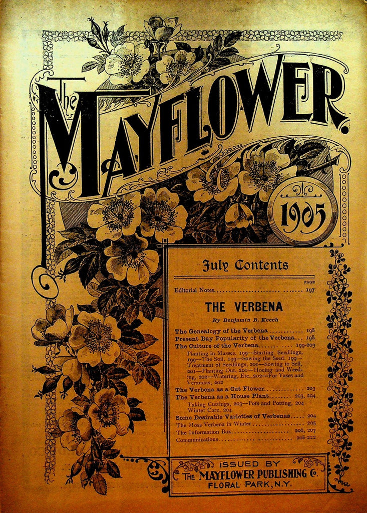 Mayflower Magazine July 1905 Flowers Gardening0