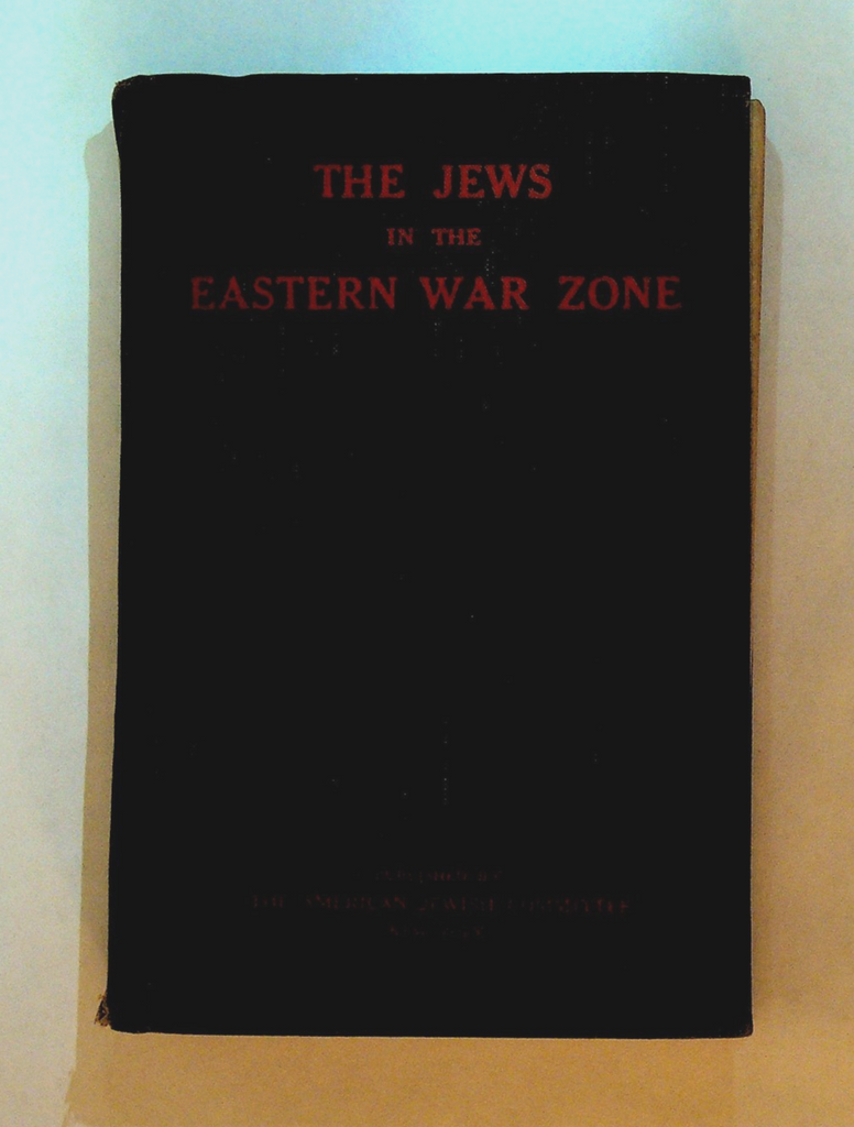The Jews in the Eastern War Zone WWI 1916 American Jewish Committee0