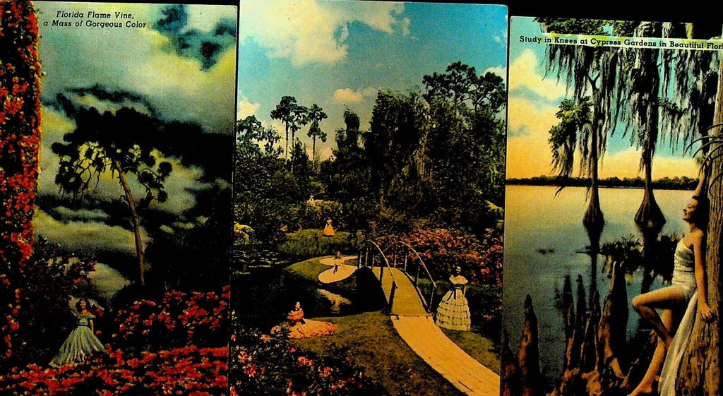 Cypress Gardens Florida Lot of 17 Postcards 1940s to 1960s