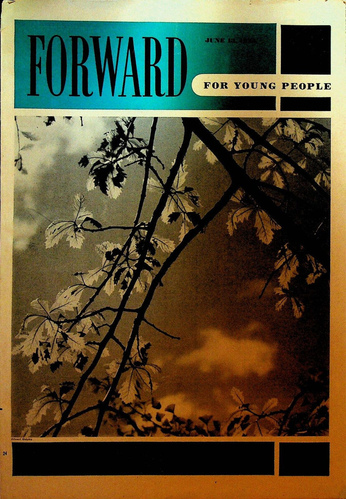 Forward for Young People Magazine June 13 1954 HB Davey Wilfred Bockelman