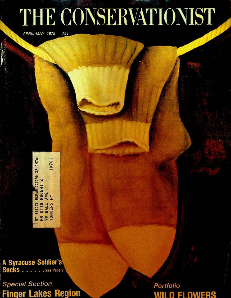 The Conservationist Magazine April 1975 Retsof Salt Mine Finger Lakes