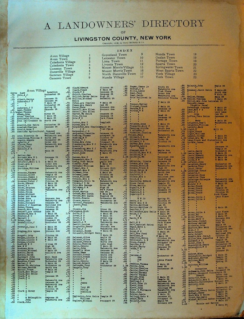 A Landowners' Directory of Livingston County NY 1916 Rand McNally0