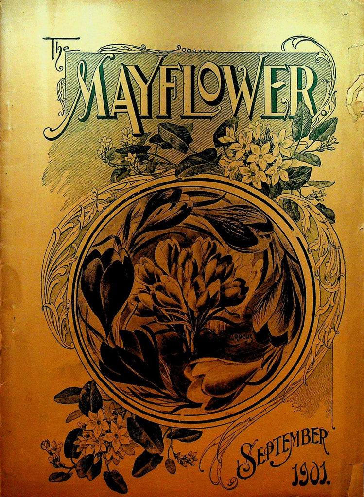 Mayflower Magazine September 1901 Flowers Gardening0