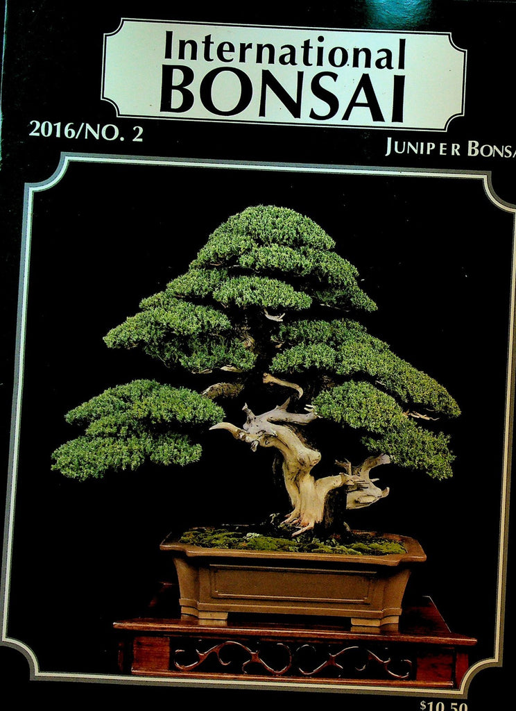 International Bonsai Magazine 2016 #2 Juniper Bonsai Needle Juniper Shimpaku0
