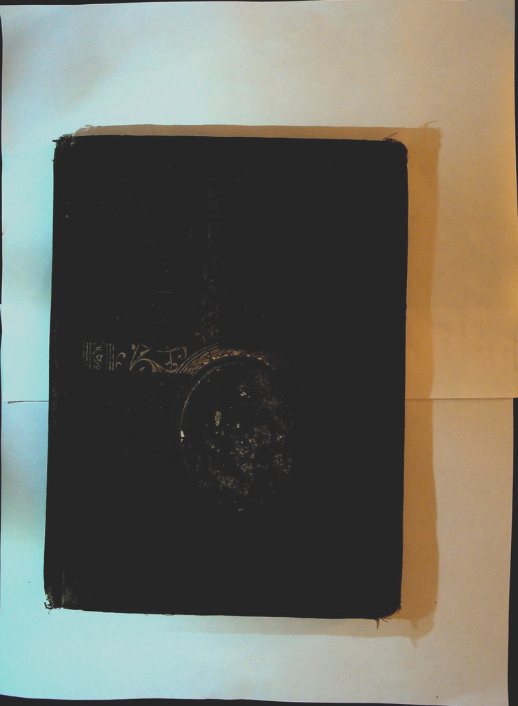 Life of William McKinley Salesman Sample 1901 GW Webb Book Co Assassination0