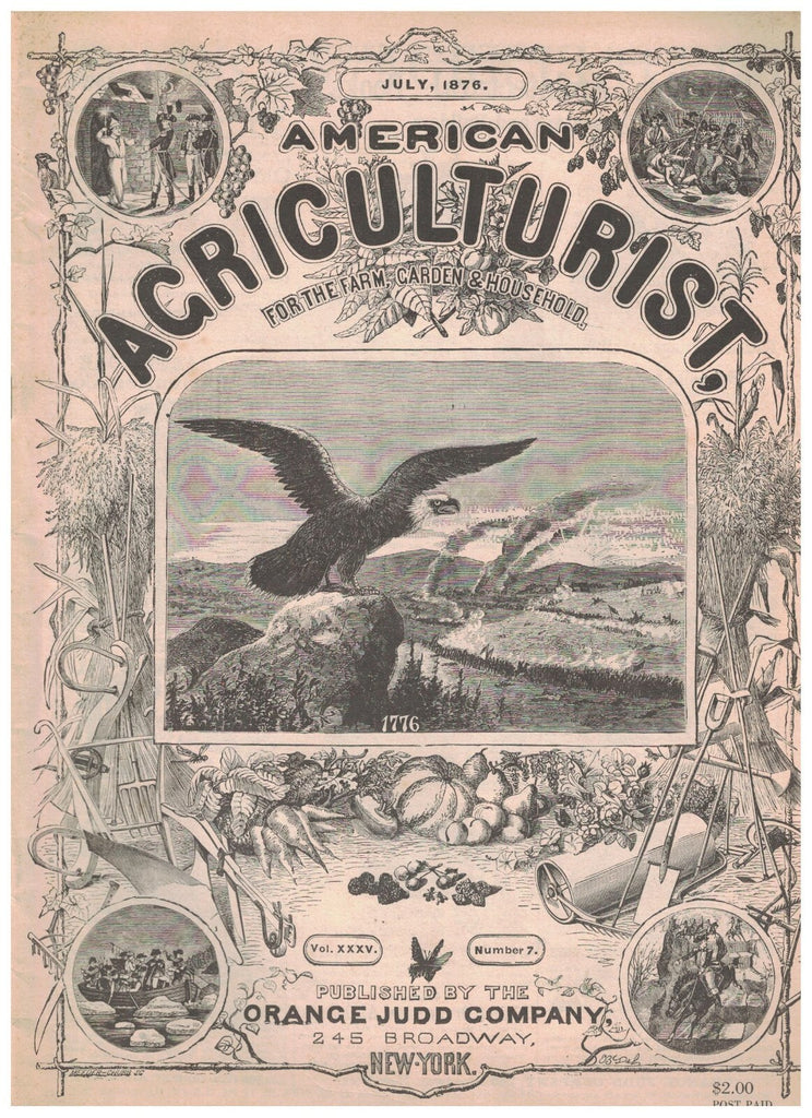 American Agriculturist Magazine July 1876 Facsimile Reproduction  From 19760