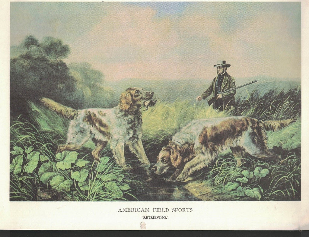 American Field Sports 2-sided Dogs Print- On a Point & Retrieving0