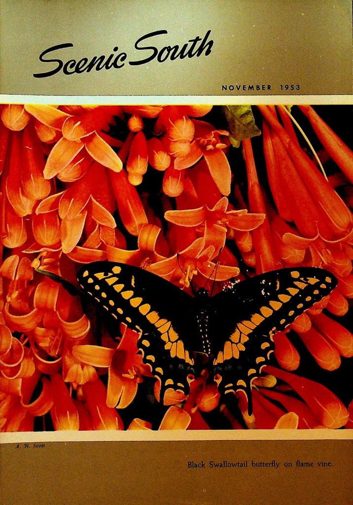 Scenic South Magazine November 1953 Standard Oil Black Swallowtail Butterfly0