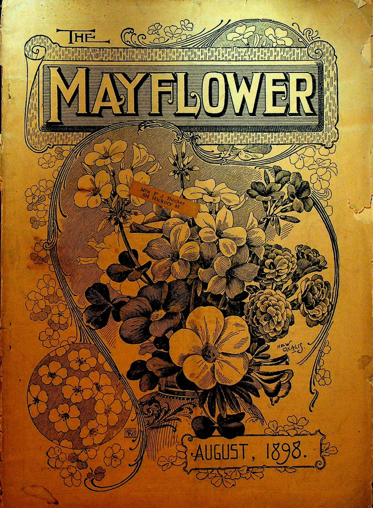 Mayflower Magazine August 1898 Flowers Gardening0