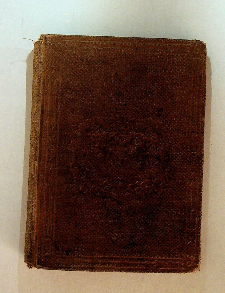 The Do-Somethings by Oliver Optic 1863 Riverdale Story Books