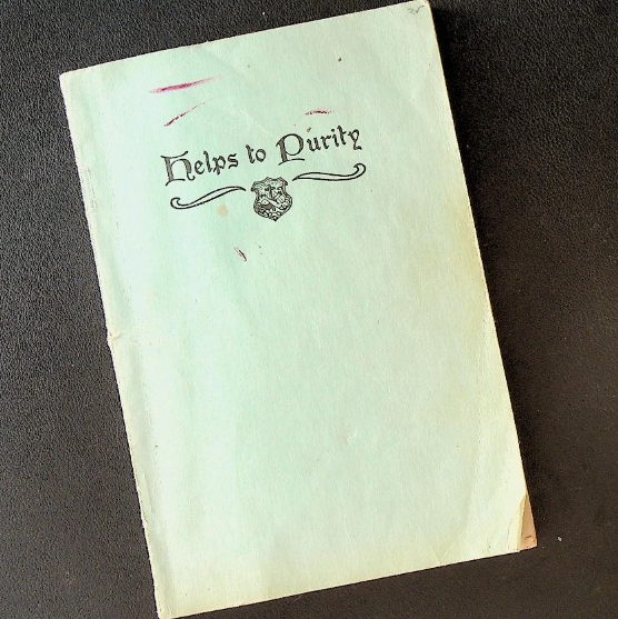 Helps to Purity Rev Fulgence Meyer SC Book 1929 Adolescent Girls0