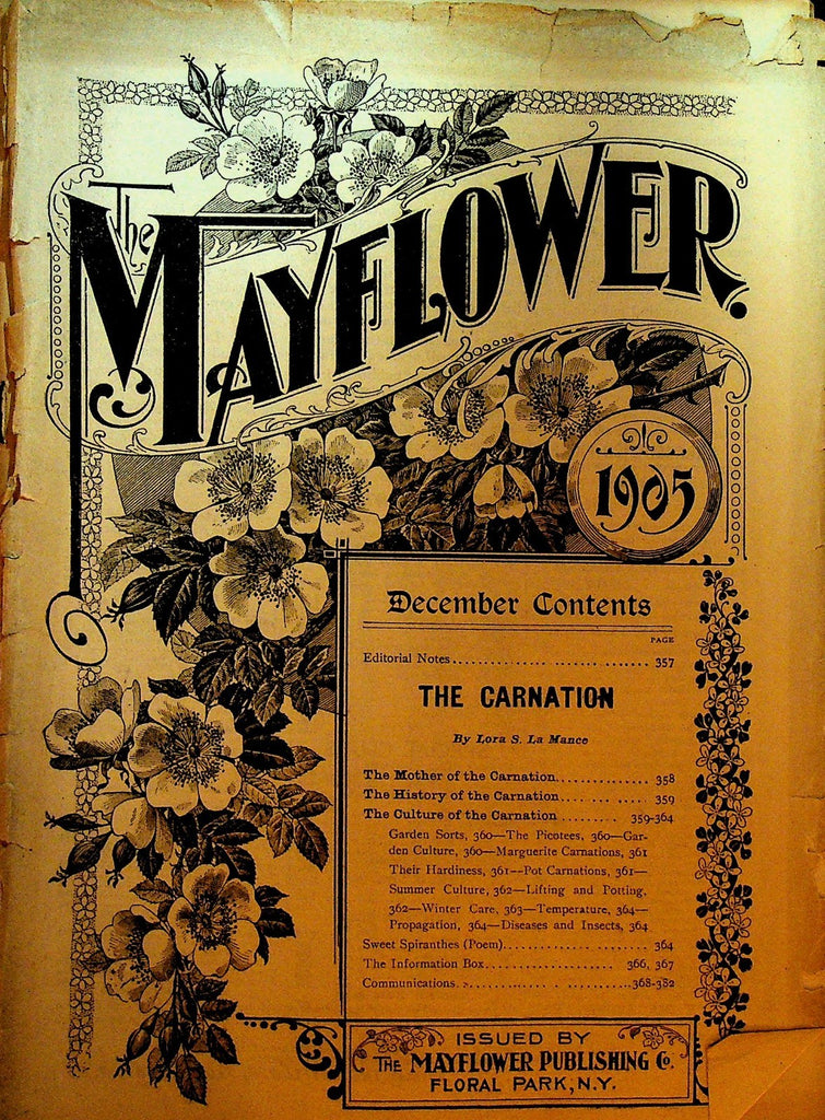 Mayflower Magazine December 1905 Flowers Gardening0