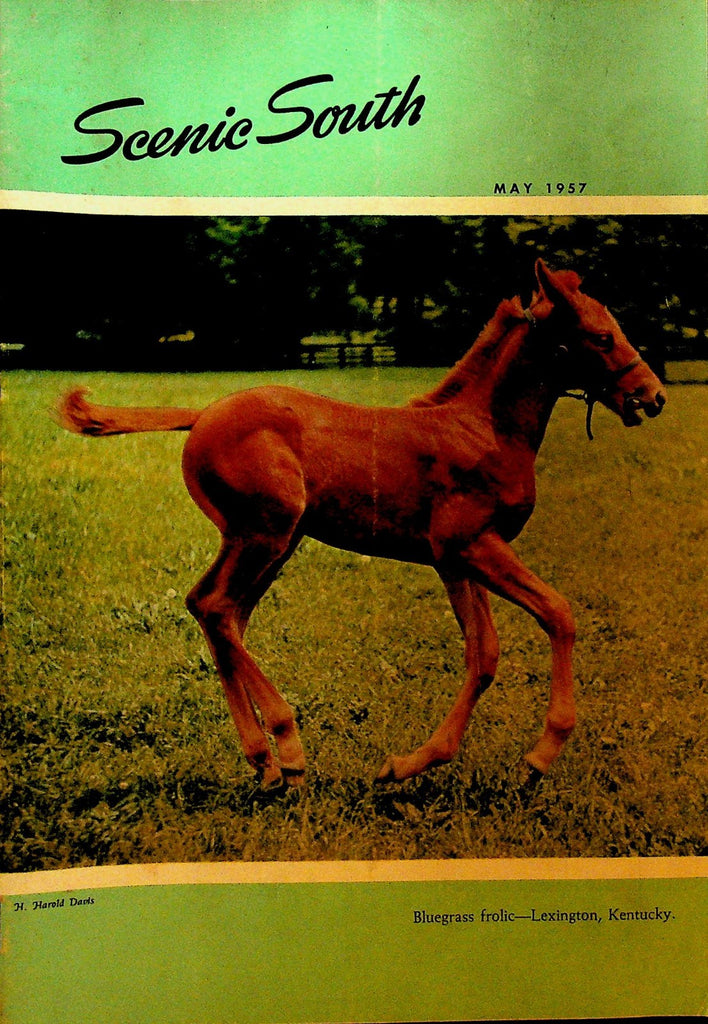Scenic South Magazine May 1957 Standard Oil Horse in Lexington Kentucky0