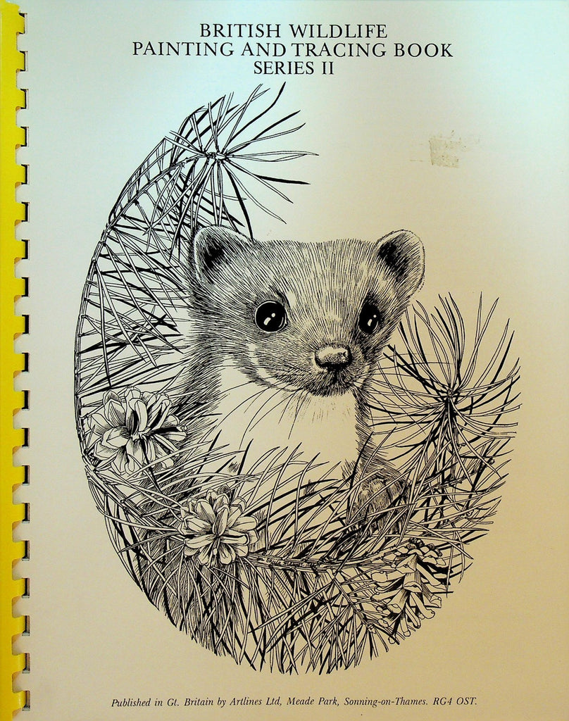 British Wildlife Painting & Tracing Book Series II0