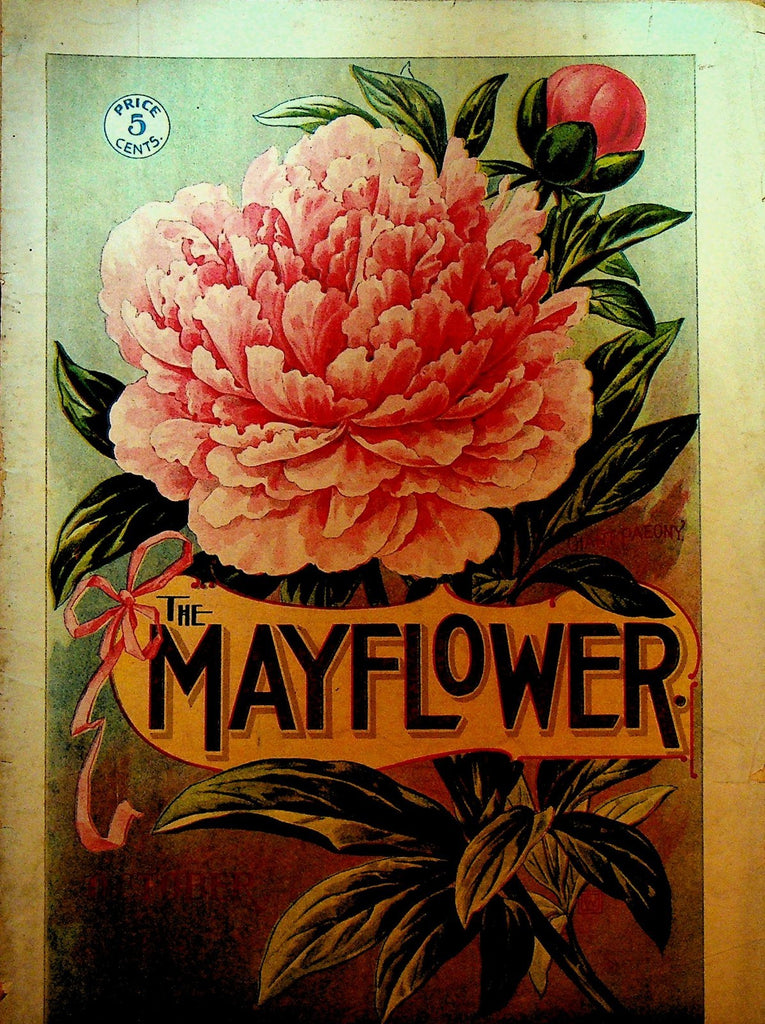 Mayflower Magazine October 1899 Flowers Gardening0