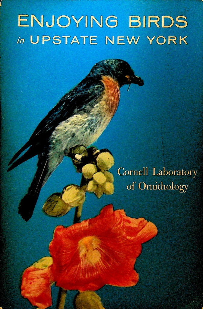 Enjoying Birds in Upstate New York Cornell Laboratory of Ornithology 19630