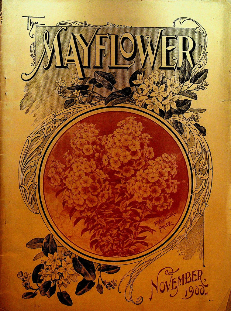 Mayflower Magazine November 1900 Flowers Gardening0