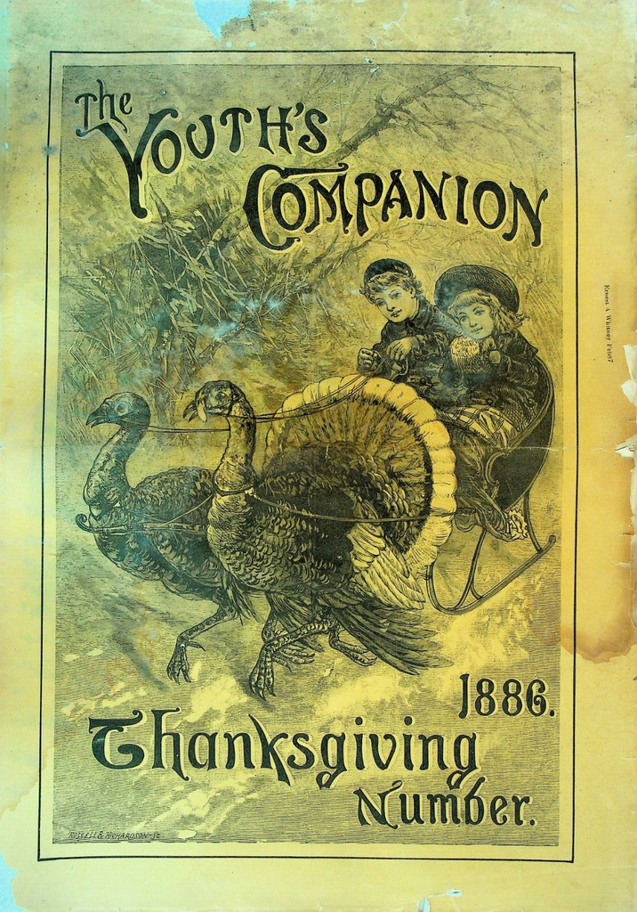 44043319