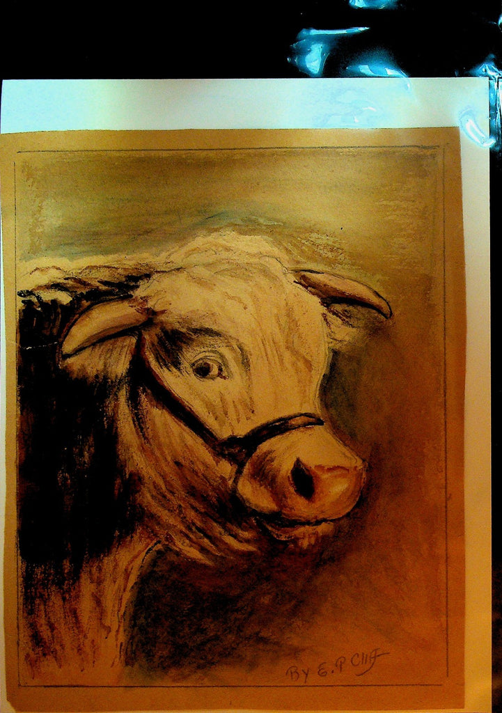 EP Cliff New Brunswick Ca Artist Drawing ca 1910 Cow0