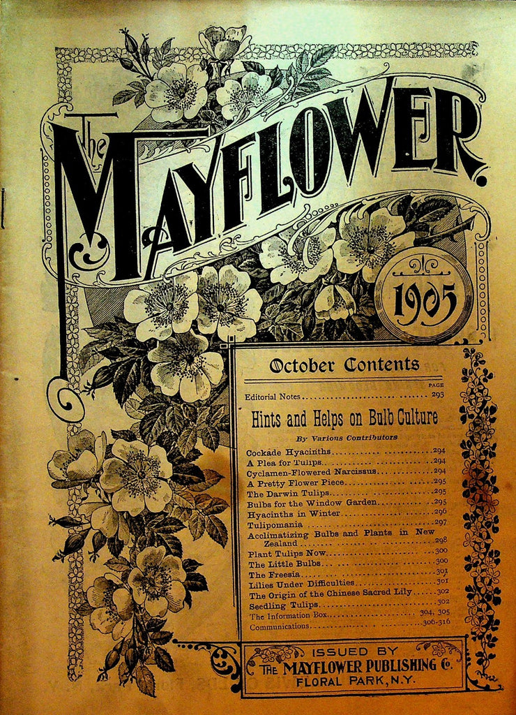 Mayflower Magazine October 1905 Flowers Gardening0