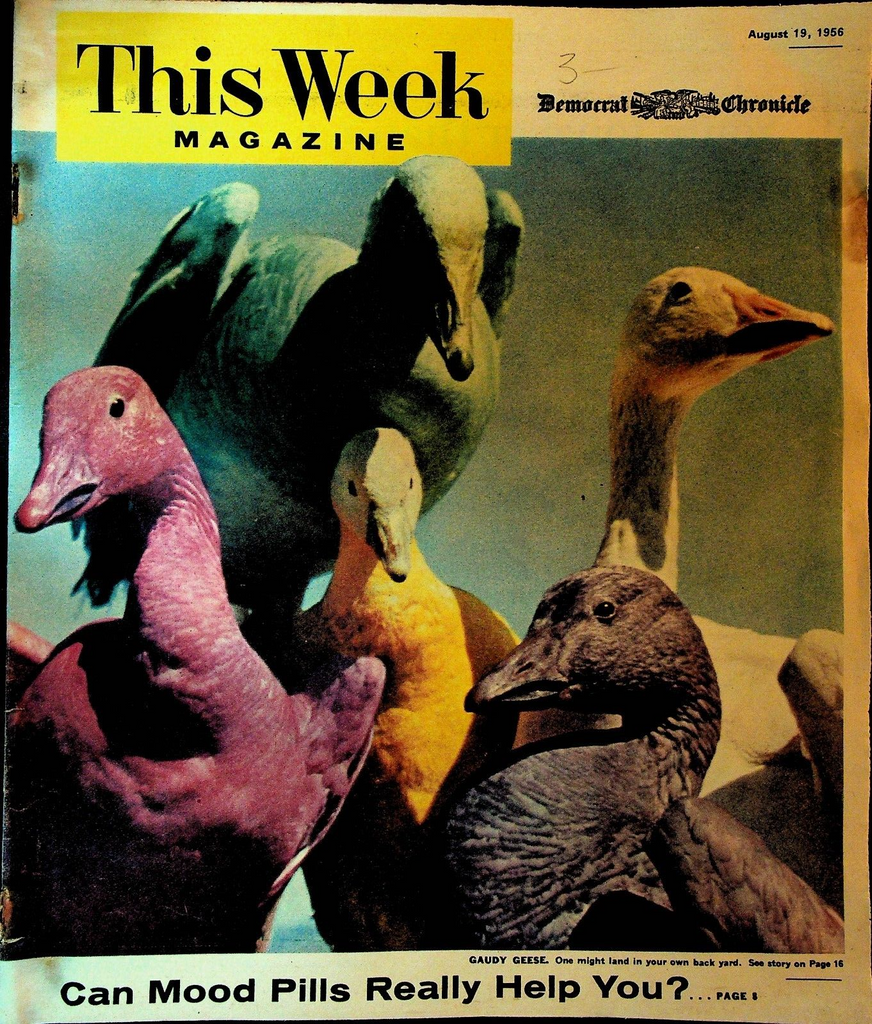 This Week Magazine August 19 1956 Steve Allen Purple Geese