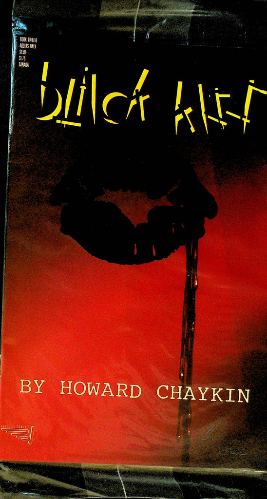 Black Kiss 12 Howard Chaykin
