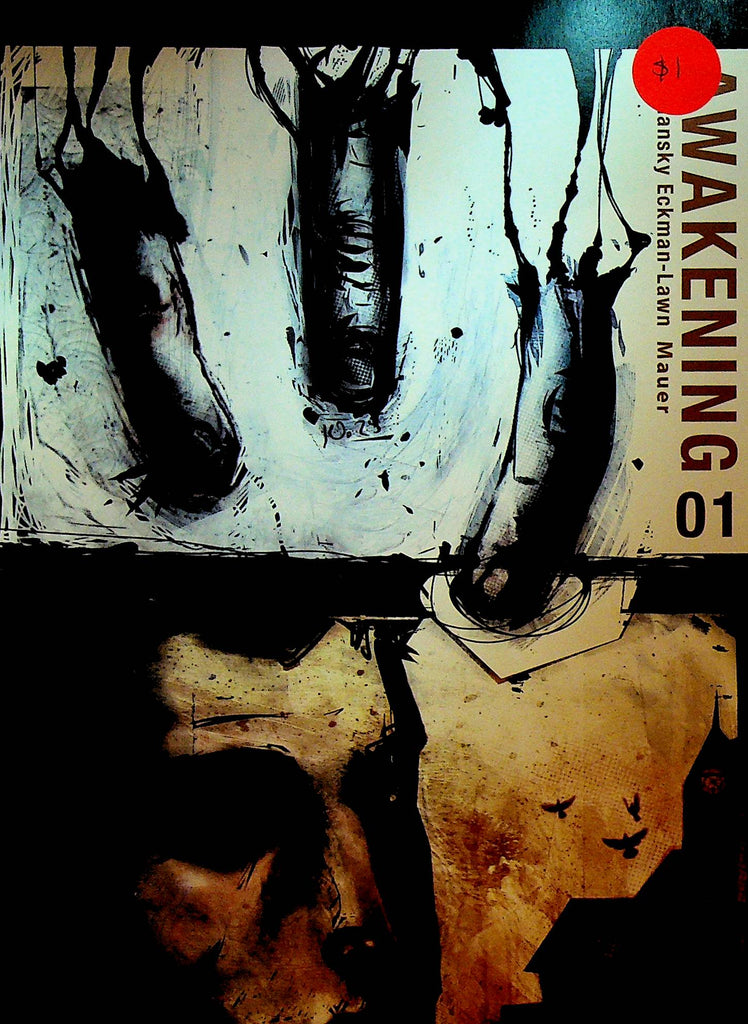 Awakening 1 Comic Book