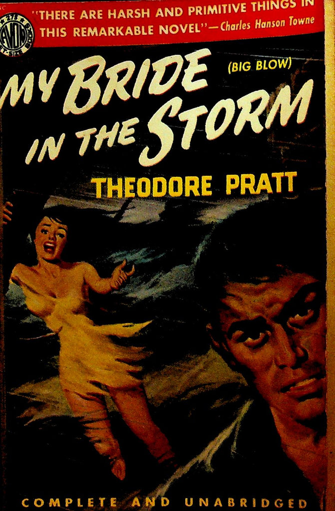 My Bride in the Storm by Theodore Pratt